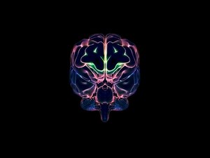 Brain Energy - Royalty Free Loop