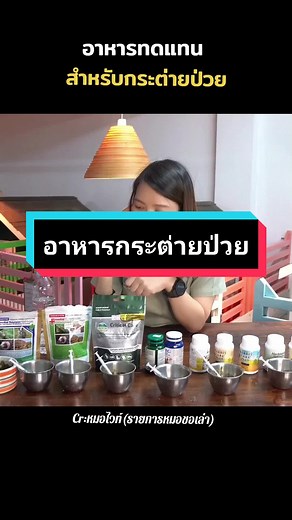 อาหารทดแทน สำหรับกระต่ายป่วย โดย หมอไวท์ #กระต่ายป่วย #ทาสกระต่าย #vetrec