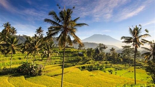Airports at tropical hotspot enforce 'Covid-style passes' to stop mutant mpox