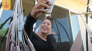 1.3M views · 6.6K reactions | Bees are disappearing, but you can...