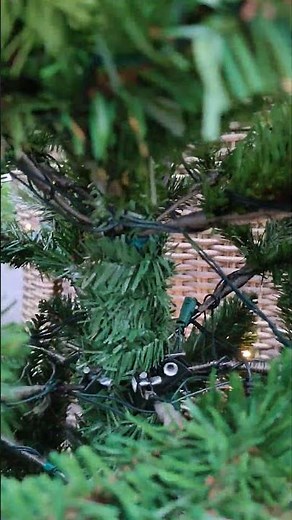 Bester Kunstweihnachtsbaum 2024 Black Box Trees Macallan vor Brampton