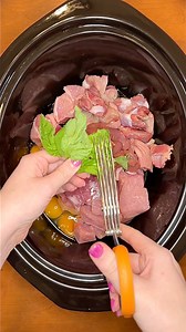 Liver n Pork crockpot recipe for dogs! 🥩🥘🐕 #dogs #dogmom #dogfood #rawfeddog #dog #dogtreats #kibble #reels #crockpot #homemadedogfood | Kayla Kowalski Nutrition