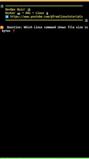 🐧 Linux command to view file size in bytes