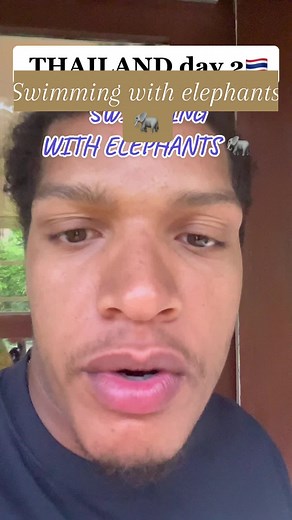 Swimming with Elephants in Thailand: A Memorable Experience