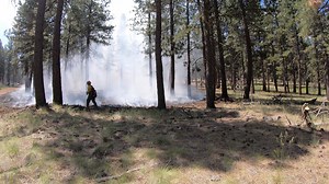 Congrats to the 33 wildland firefighters who completed basic training last week in southern Oregon! BLM video: Lisa McNee Firefighters from numerous different government agencies studied in the classroom then did hands-on training on public land during the five-day session. As this time-lapse video shows, the intensive training session, called guard school, culminated in a live fire exercise where crews were dispatched to a simulated wildfire. This incident, outside of Bly, Oregon, required digg