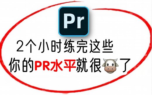 【比刷剧还爽】900个PR初学者副业接单必备练习题，2小时练完直接接单（PR教程、视频剪辑、公开课、PR调色、PR转场）