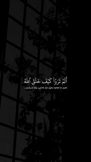 Monochromatic Window Views with Arabic Text Overlay