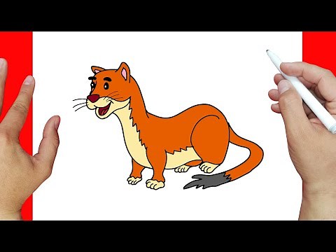 How to Draw a Weasel Step by Step | Easy Drawings