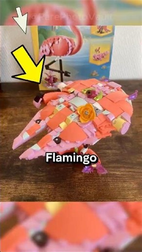 Rare Photos Captured at Moments That Revealed the World’s Most Unexpected Beauty 😱📸