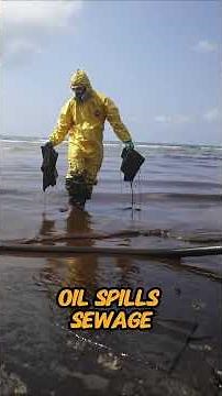 Why You Should NEVER Touch Sea Foam 🌊🚫#OceanFacts #SeaFoam #BeachSafety