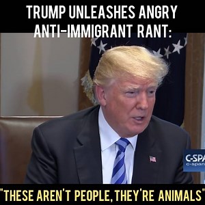“We have people coming into the country, or trying to come in, we’re stopping a lot of them, but we’re taking people out of the country, you wouldn’t believe how bad these people are," Trump said on Wednesday during a White House meeting with officials who oppose the sanctuary city laws. “These aren’t people. These are animals, and we’re taking them out of the country at a rate that’s never happened before.” | The Guardians of Democracy
