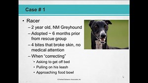 Aggression Cases: Facilitating Client Communication - Webinar