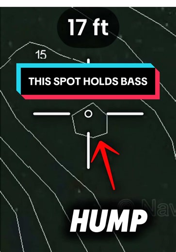 This is one of those spots that produces all year long. A good hump gives bass a feeding zone, a travel route, and quick access to deeper water depending on the season and conditions. If you learn how to read topo maps and recognize these subtle changes in depth, you can eliminate a lot of dead water and start fishing with purpose instead of guessing. #bassfishing #fishinglife #mapping #fishing #fyp