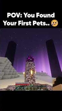 POV: You Just Found Your First Pets...