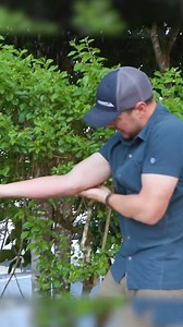 93K views · 1.2K reactions | I got bit by a BIG Blue Bee! #bravewilderness #nature #stingzone #wildlife #outdoors | Brave Wilderness | Facebook