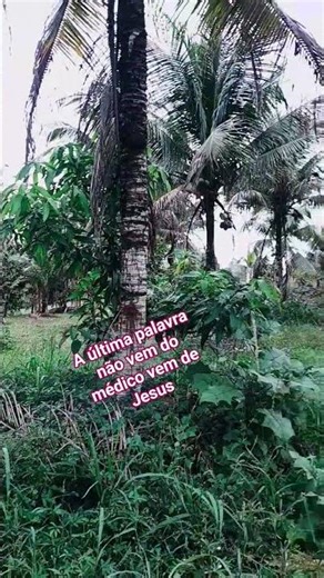 Deus é o remédio e a solução para todo nossos problemas#amém