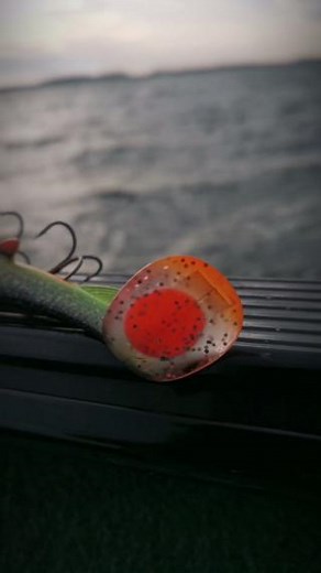 Svartzonker McPike Smack! Disc. 🎯 That little extra can be the difference between a follow and a strike! 💥 Change them out to maximize their visibility depending on conditions. 👍 | Abu Garcia