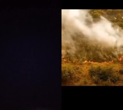 49K views · 3.2K reactions | Stop  Setting fire  in forest , because there is animals living in forests  remember Allah is watching @top fans | Viral video's gambia | Facebook