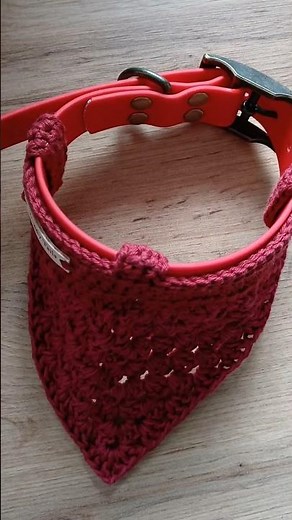 How to Put On Slip On Dog Bandana?