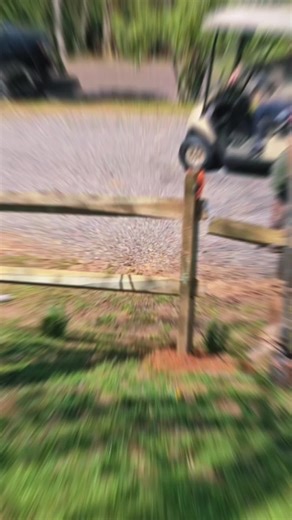 Happy Lotus on TikTok