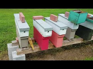 How To Make Queens Easy Mini Mating Nucs
