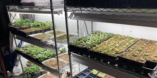 The Nursery in My Basement