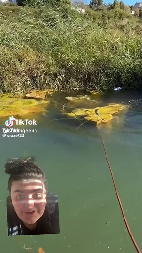 Freaky Underwater Encounters with Water Buffalos