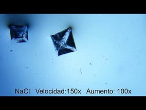 Crecimiento de cristales de sal común cloruro de sodio al microscopio 1