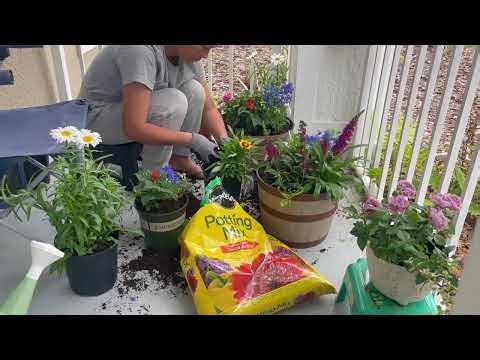 Creating My Healing Sanctuary. Small Patio Garden Tour