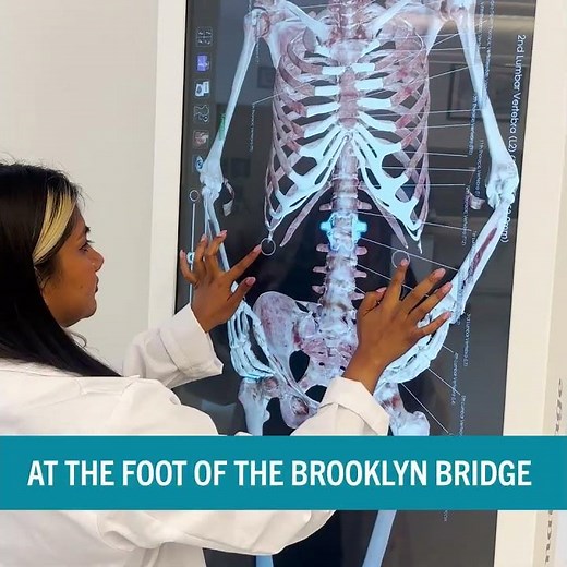 Apply now for Spring and Fall 2026!