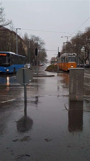 BKK vonul #hungary #budapest #shorts #carcrash #automobile #byd #service #song #viral #tram #trip