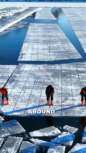 Why Do Chinese People Collect Huge Blocks of Ice? ❄️