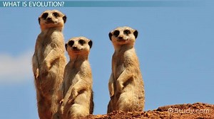 You must c C reate an account to continue watching