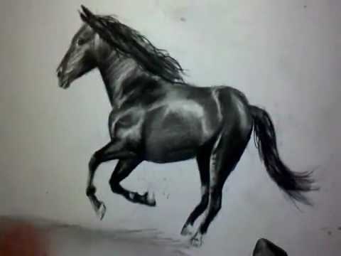 Comment dessiner un cheval au galop [Tutoriel]