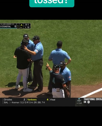 collegebullpen on TikTok