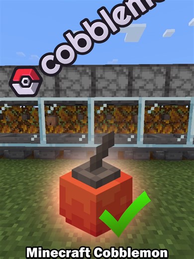 How to Build an Automatic Apricot Farm in Minecraft Cobblemon! #Cobblemon #Minecraft #Pokemon #moddedminecraft #MinecraftTutorial #fyp #howtobuild #minecraftideas #minecraftsurvival #gaming