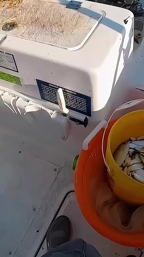 Master Bass Fishing Techniques with Swimbaits and Baits