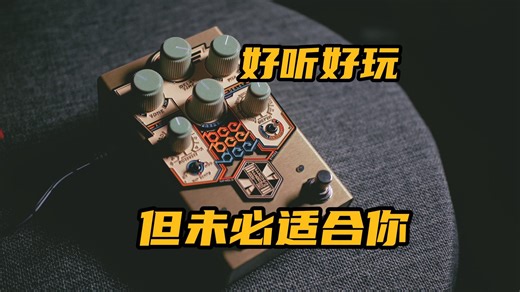 创意十足趣味拉满，但不一定适合你的一块延迟效果器——Beetronics BeeBeeDee