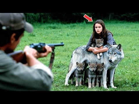 A Girl Saved Dying Wolf Family — What Happened Next Changed Her Life Forever