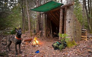 【露营】【Joe Robinet】跟狗子在森林里盖庇护所