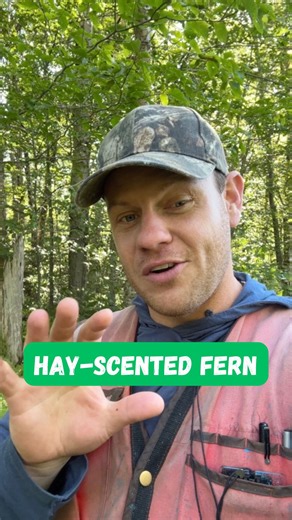 13K views · 1.8K reactions | Can a native species become a...