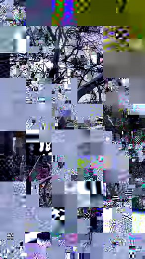 3.7K views · 44 reactions | Don Burnstick on Reels | Facebook