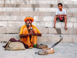 Here's A Really Important Thing You Need To Know About Snake Charming - Hand Luggage Only - Travel, Food And Photography Blog