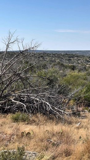 13 reactions | Looking for affordable hunting land in Texas? Here are...