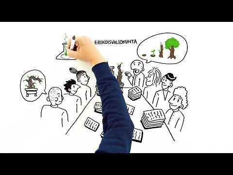 Eduskunta - näin laki syntyy