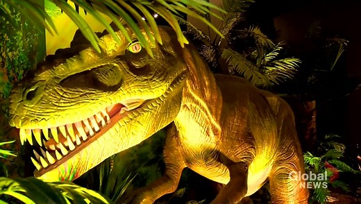 Halifax welcomes new animatronic dinosaur exhibit at Museum of Natural History - Halifax | Globalnews.ca