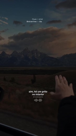 Bird set free - Sia #musicaponto #birdsetfree #sia #traducaodemusica #paravoce