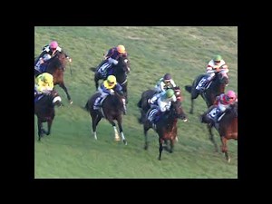 2013 Japan Cup (G1) | JRA Official