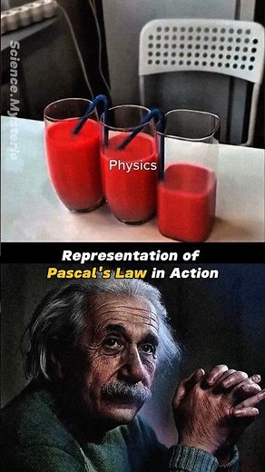 This is how Pascal's law works! #shorts #physics #science #fyp