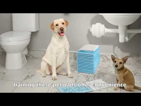 Best Leakproof Puppy Pee Pads: 5-Layer Protection & Training Attractant!